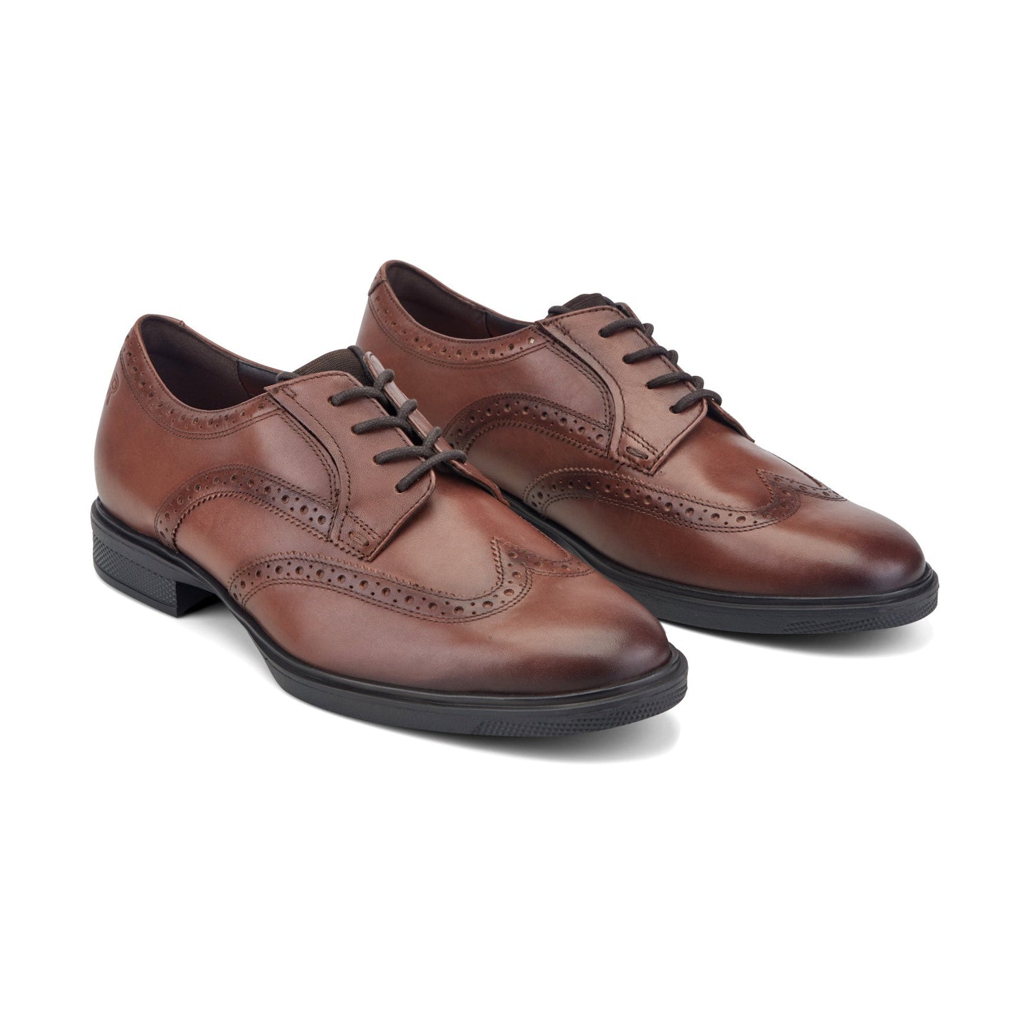 Rockport Keegan Dress Wing Tip Lace-up Oxfords