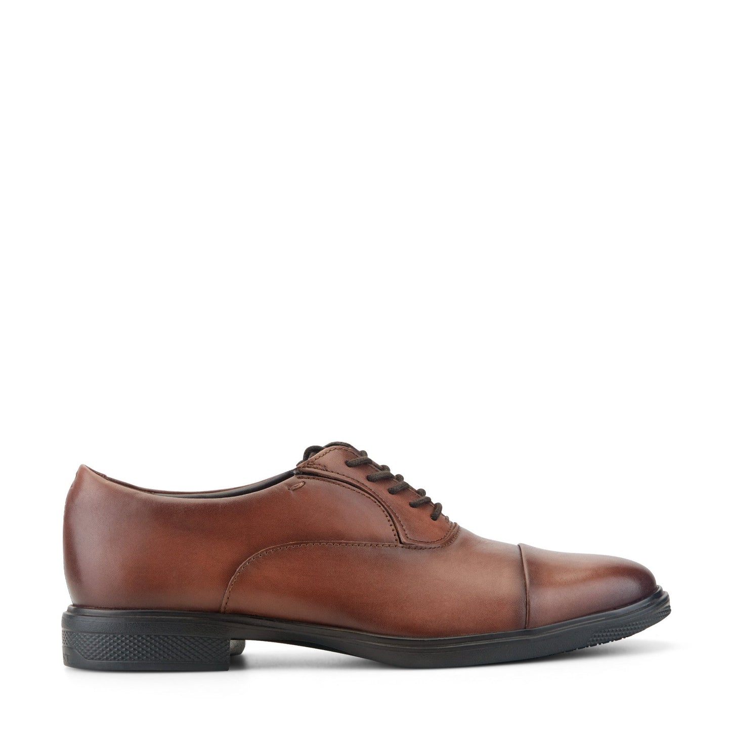 Rockport Keefe Dress Cap Toe Lace-up Oxfords