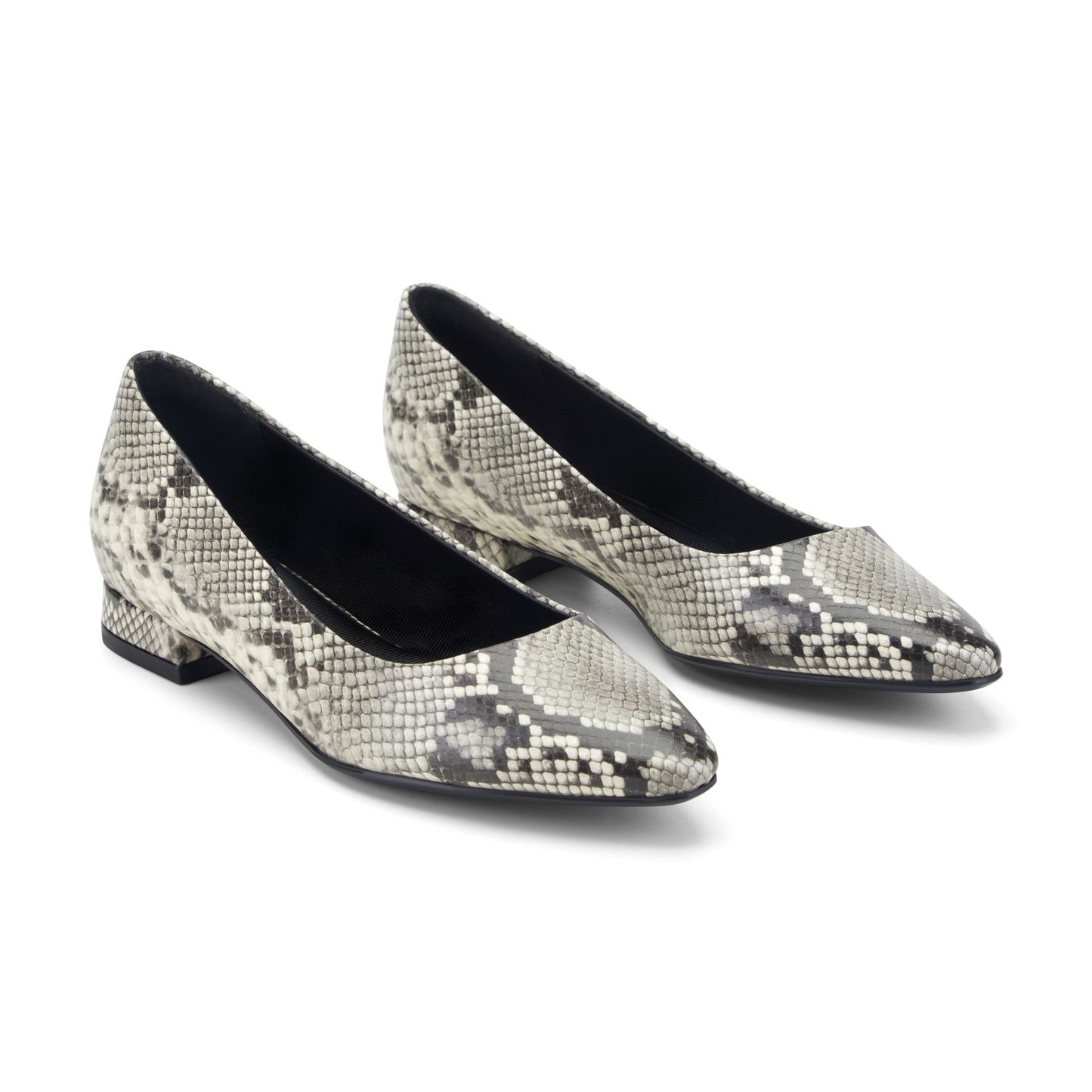 Rockport Tessa Total Motion Pointy Toe Dress Flats