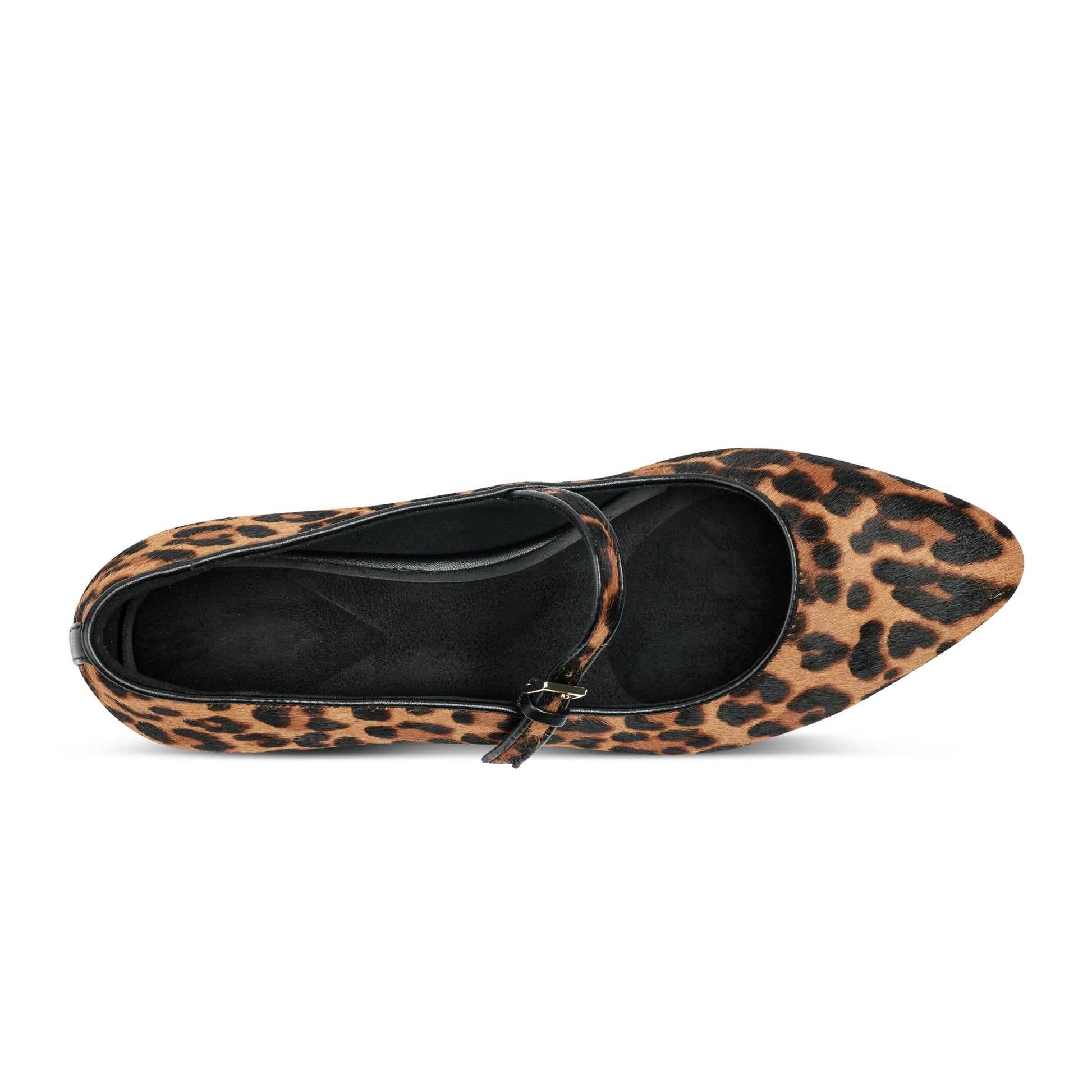 Rockport Taren Total Motion Pointy Toe Dress Flats