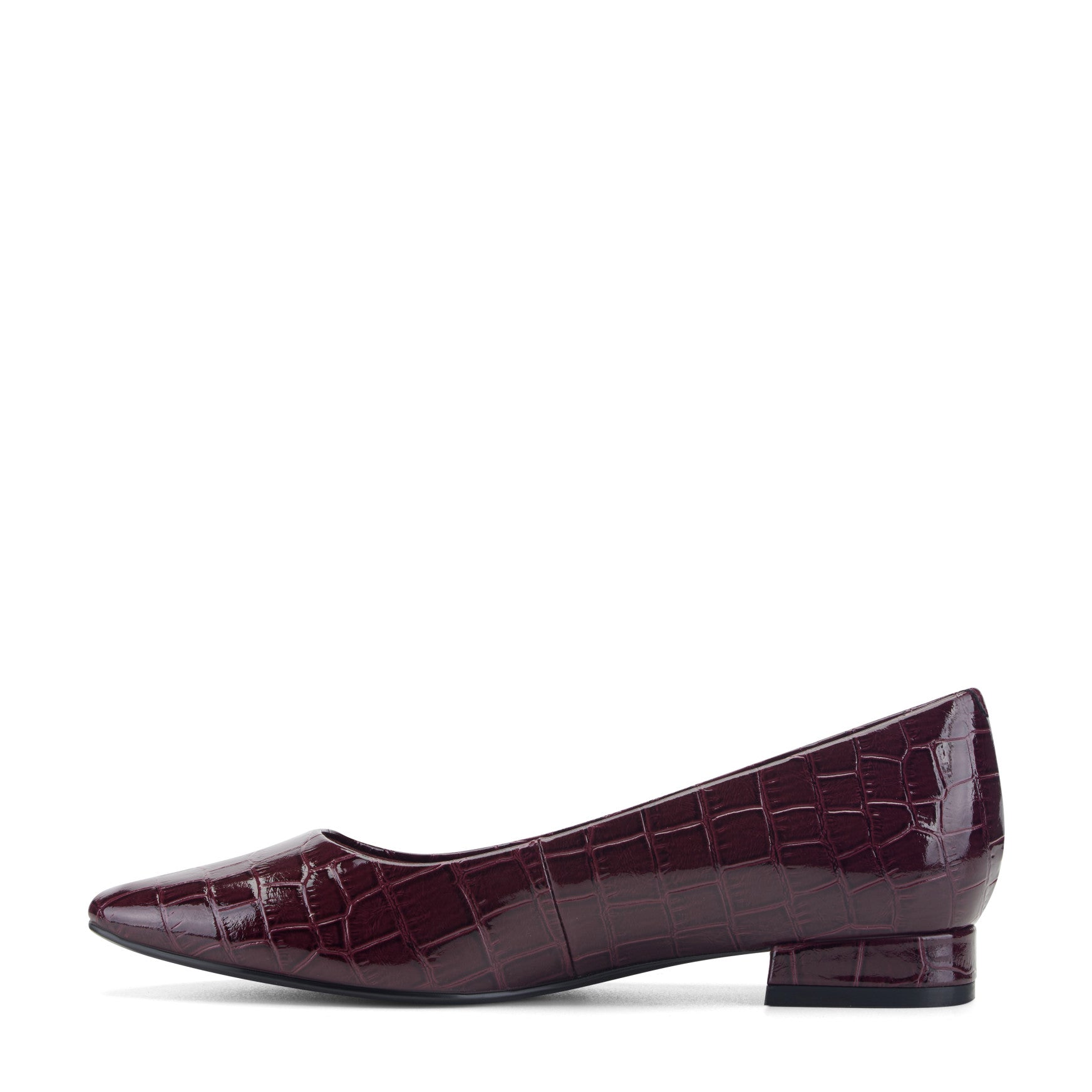 Rockport Tessa Total Motion Pointy Toe Dress Flats