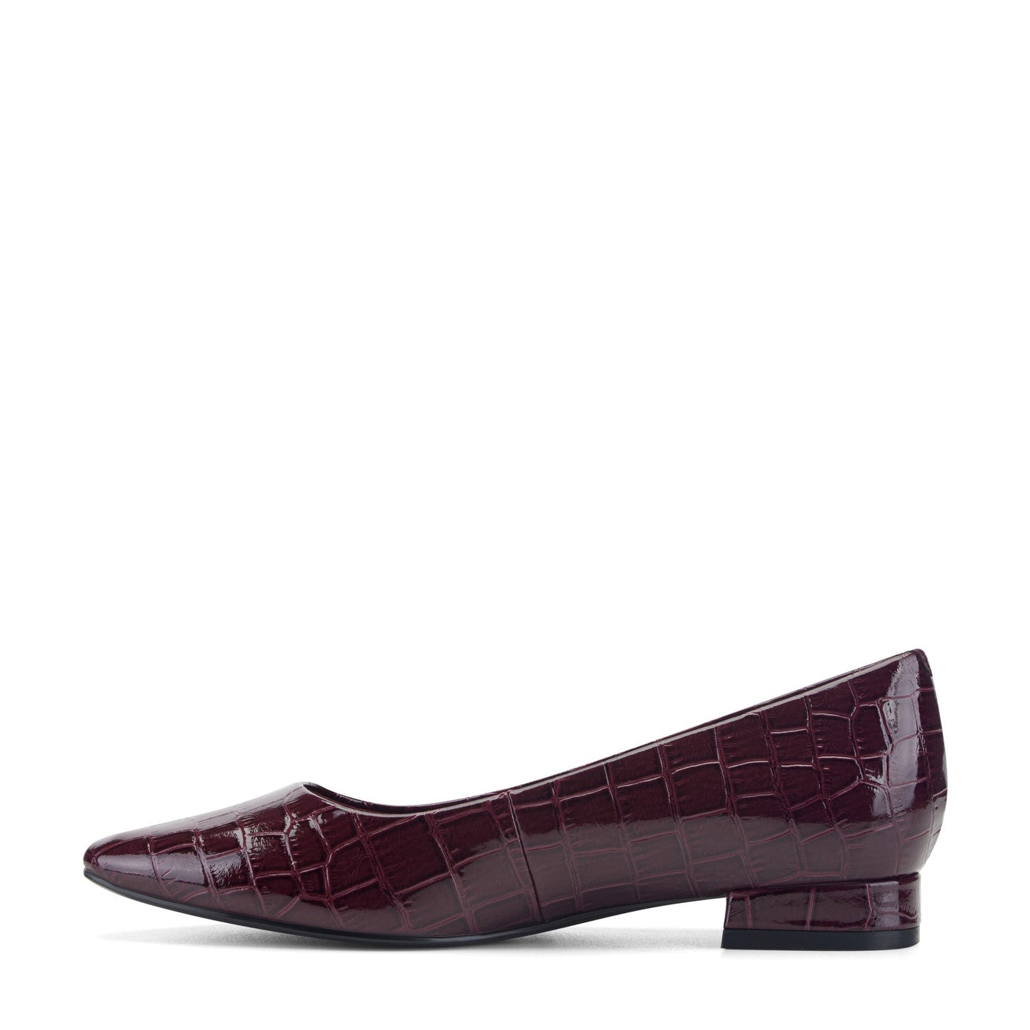 Rockport Tessa Total Motion Pointy Toe Dress Flats